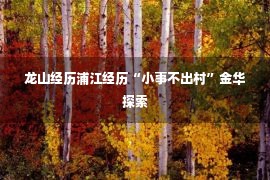 龙山经历浦江经历“小事不出村”金华探索