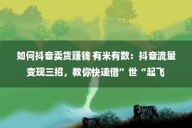 如何抖音卖货赚钱 有米有数：抖音流量变现三招，教你快速借”世“起飞