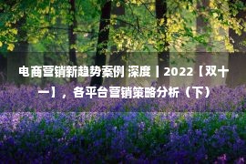 电商营销新趋势案例 深度丨2022【双十一】，各平台营销策略分析（下）