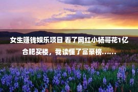 女生赚钱娱乐项目 看了网红小杨哥花1亿合肥买楼，我读懂了富豪榜……