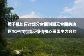 原手机如何对部分合同到期无合同的地区农户也持续反弹价格心理蛋主力合约