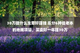 30万做什么生意好赚钱 瓜分6种低老本的地摊项目，买卖好一年赚30万