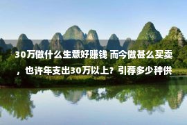 30万做什么生意好赚钱 而今做甚么买卖，也许年支出30万以上？引荐多少种供侦察