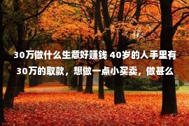 30万做什么生意好赚钱 40岁的人手里有30万的取款，想做一点小买卖，做甚么好呢？