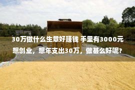 30万做什么生意好赚钱 手里有3000元想创业，想年支出30万，做甚么好呢？