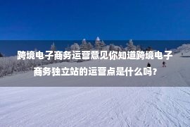 跨境电子商务运营意见你知道跨境电子商务独立站的运营点是什么吗？