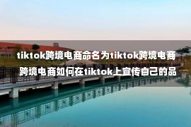 tiktok跨境电商命名为tiktok跨境电商  跨境电商如何在tiktok上宣传自己的品牌？