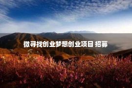 微寻找创业梦想创业项目 招募