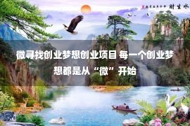 微寻找创业梦想创业项目 每一个创业梦想都是从“微”开始