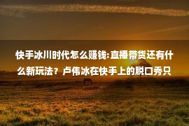 快手冰川时代怎么赚钱:直播带货还有什么新玩法？卢伟冰在快手上的脱口秀只是个开始