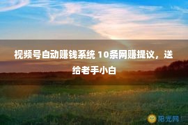 视频号自动赚钱系统 10条网赚提议，送给老手小白