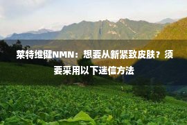  莱特维健NMN：想要从新紧致皮肤？须要采用以下迷信方法