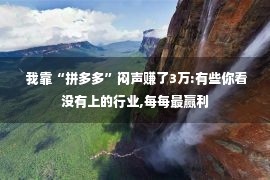  我靠“拼多多”闷声赚了3万:有些你看没有上的行业,每每最赢利