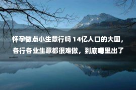 怀孕做点小生意行吗 14亿人口的大国，各行各业生意都很难做，到底哪里出了问题？