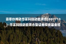 壹零玖推动华富科技动能混合(007713 ) :华富科技动能混合型证券投资基金招股说明书更新