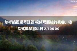 怎样搞视频号赚钱 视频号赚钱的机会，傻瓜式批量搬运月入10000