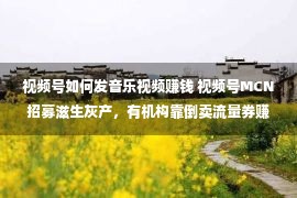 视频号如何发音乐视频赚钱 视频号MCN招募滋生灰产，有机构靠倒卖流量券赚了几百万......