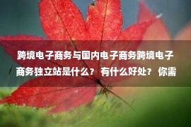 跨境电子商务与国内电子商务跨境电子商务独立站是什么？ 有什么好处？ 你需要什么？