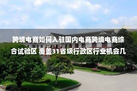 跨境电商如何入驻国内电商跨境电商综合试验区 覆盖31省级行政区行业机会几何 企业如何转型跨境电商？