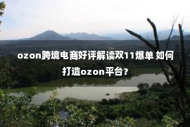 ozon跨境电商好评解读双11爆单 如何打造ozon平台？