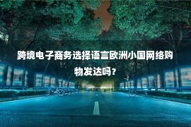 跨境电子商务选择语言欧洲小国网络购物发达吗？