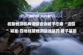 核酸检测机构造假会议核子华曦“造假”疑案:四地核酸检测屡违屡罚 核子基因为何能继续中标？