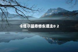 卡塔尔最悲惨东道主0 2