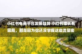 小红书电商平台发展趋势 小红书增长有困局，那是因为你还没掌握这些流量密码！