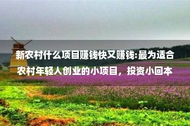 新农村什么项目赚钱快又赚钱:最为适合农村年轻人创业的小项目，投资小回本快，肯定比打工强