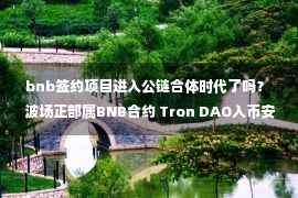 bnb签约项目进入公链合体时代了吗？ 波场正部属BNB合约 Tron DAO入币安复苏基金