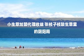 小生意加盟代理收益 张核子核酸生意里的阴阳局