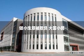 做小生意被欺负 大国小民