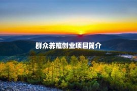 群众养殖创业项目简介