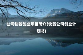 公司快餐创业项目简介(快餐公司创业计划书)