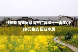 快速促销如何取消推广费双十一再生(下)多元生态 回归本质