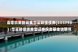 壹零玖更新募集华富转债债券(005793 ) :华富转债债券型证券投资基金说明书