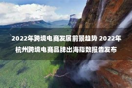 2022年跨境电商发展前景趋势 2022年杭州跨境电商品牌出海指数报告发布