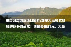 烘焙网店创业项目简介:加拿大高校女教授辞职开甜品店！售价最低元，大受欢迎