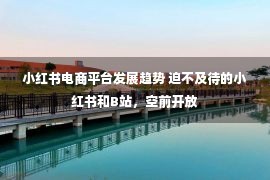 小红书电商平台发展趋势 迫不及待的小红书和B站，空前开放