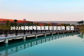 2022年跨境电商发展前景趋势 报告