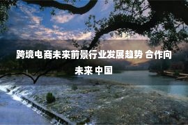 跨境电商未来前景行业发展趋势 合作向未来 中国