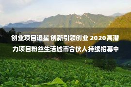 创业项目追星 创新引领创业 2020高潜力项目粉丝生活城市合伙人持续招募中