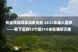 创业项目项目进度安排 2022年进入尾声——看下深圳12个超310米在建摩天楼项目最新进展