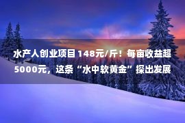 水产人创业项目 148元/斤！每亩收益超5000元，这条“水中软黄金”探出发展新路子