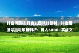 抖音呀赚钱 抖音发图就能赢利，抖音组图号赢利项目剖析：月入5000+实战文档