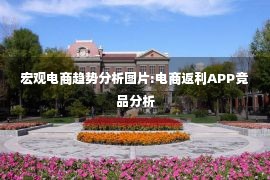 宏观电商趋势分析图片:电商返利APP竞品分析