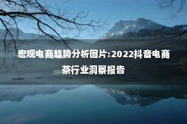 宏观电商趋势分析图片:2022抖音电商茶行业洞察报告