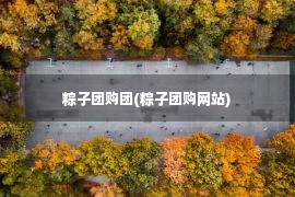 粽子团购团(粽子团购网站)