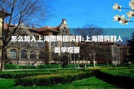 怎么加入上海团购团购群:上海团购群人类学观察