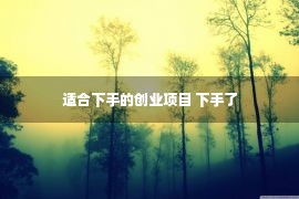 适合下手的创业项目 下手了